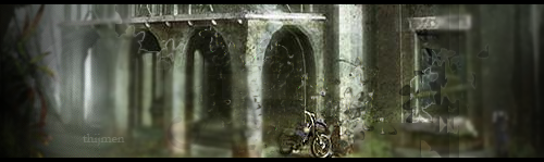 48861732951f7-thijmengc2007.png