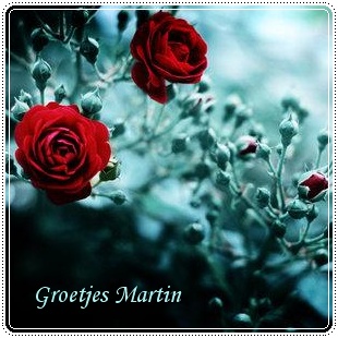 4b8e85707dd65-0408660f4370cdac9e4347364a809a65