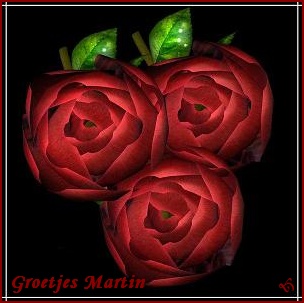 Blog_Martin