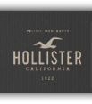 4e32b412d80f9-hollister.png