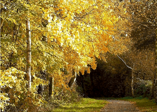 4eaeffe3734a5-Untitled.gif