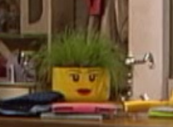 4f47662383c44-Dannybloempot.bmp