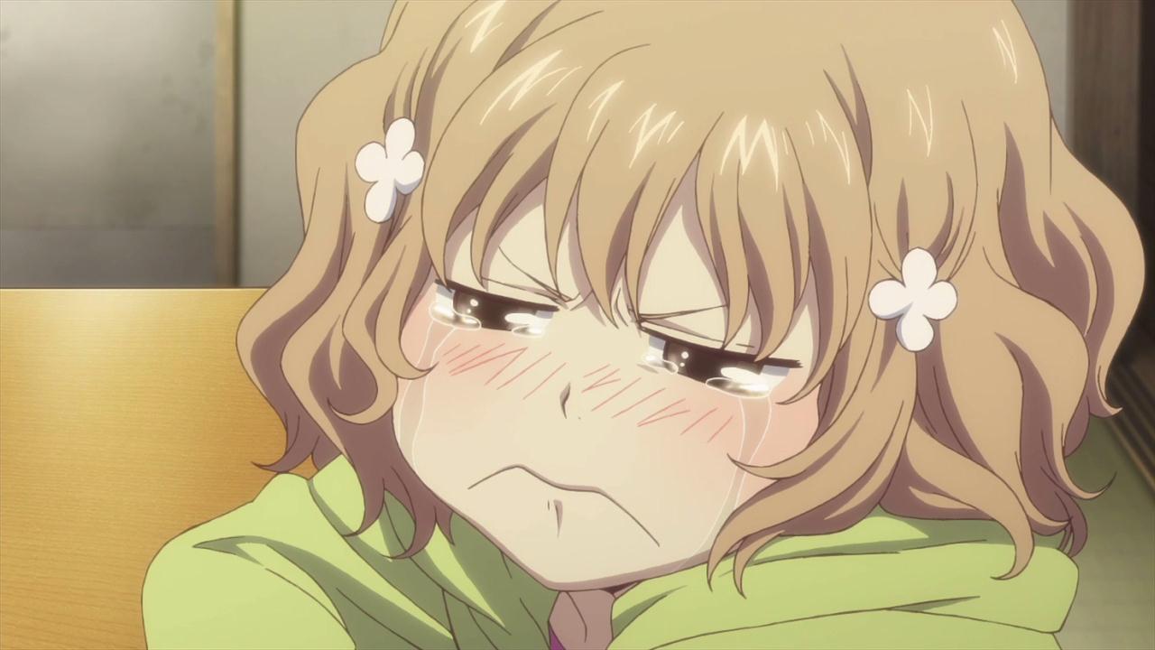 50db61da447cd-%5BDoki%5D_Hanasaku_Iroha_-_11_%281280x720_h264_AAC%29_%5BFC5B72E9%5D.mkv_snapshot_14.06_%5B2012.12.26_21.35.20%5D.jpg