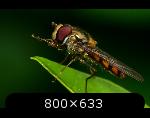 http://www.imgdumper.nl/uploads6/5102ff0c3b7e9/5102ff0c2cd89-4.thumb.jpg http://www.imgdumper.nl/uploads6/5102ff0c3b7e9/5102ff0c2cd89-4.thumb.jpg