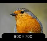 http://www.imgdumper.nl/uploads6/510301534389a/5103015332b12-6.thumb.jpg http://www.imgdumper.nl/uploads6/510301534389a/5103015332b12-6.thumb.jpg