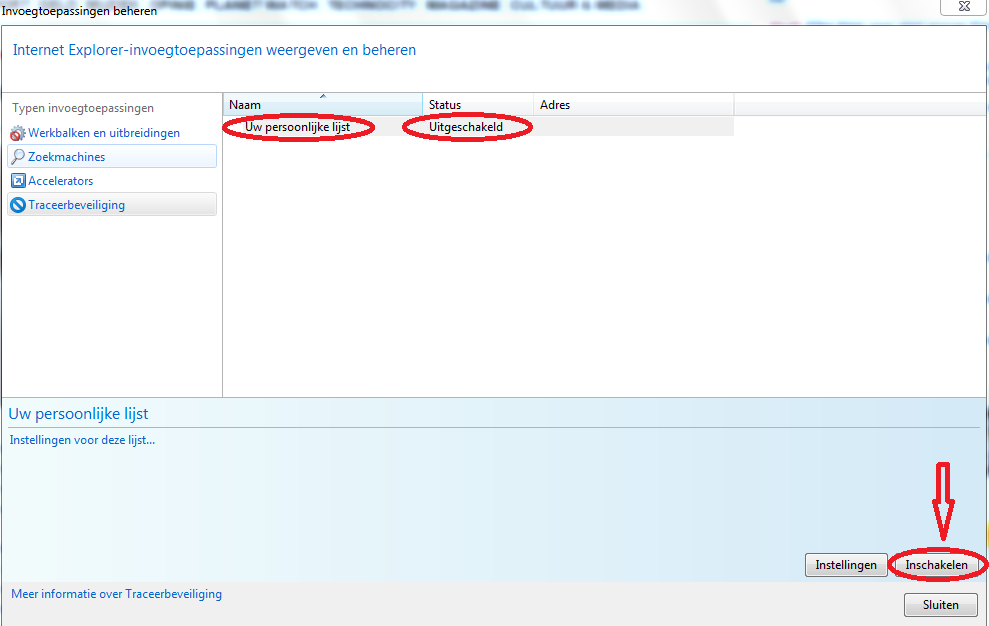 512373b2c3f78-IE9_-_Traceerbeveiliging_-_Persoonlijke_lijst_Inschakelen.PNG