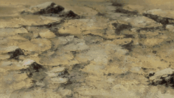 52473b2c7fa96-4234324235.gif