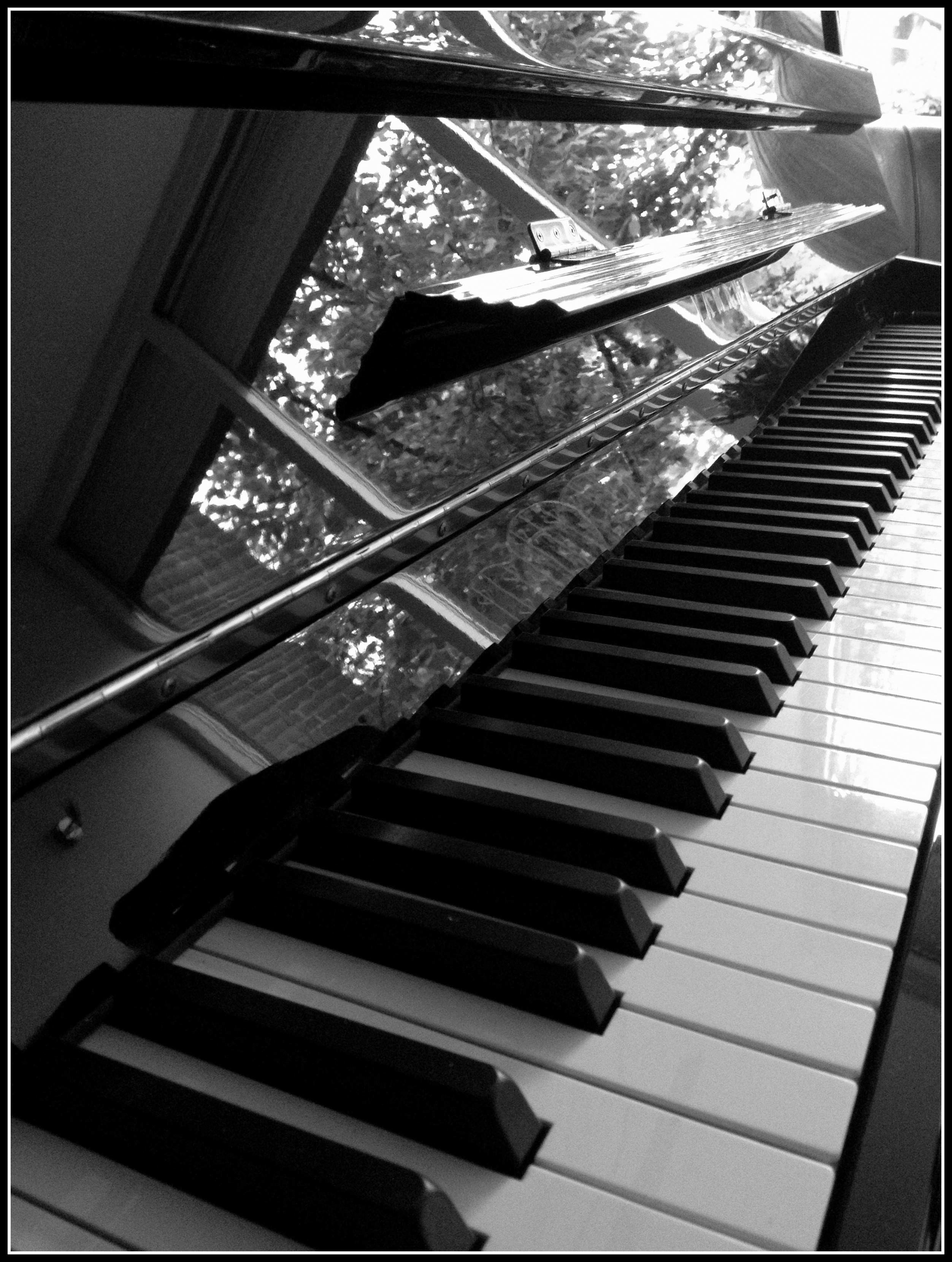 5293c57a1346c-Copyright_peter_kap_%C2%A9_2013_z-w-_piano