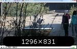 52c952e903333-utopiafaalt.thumb.jpg