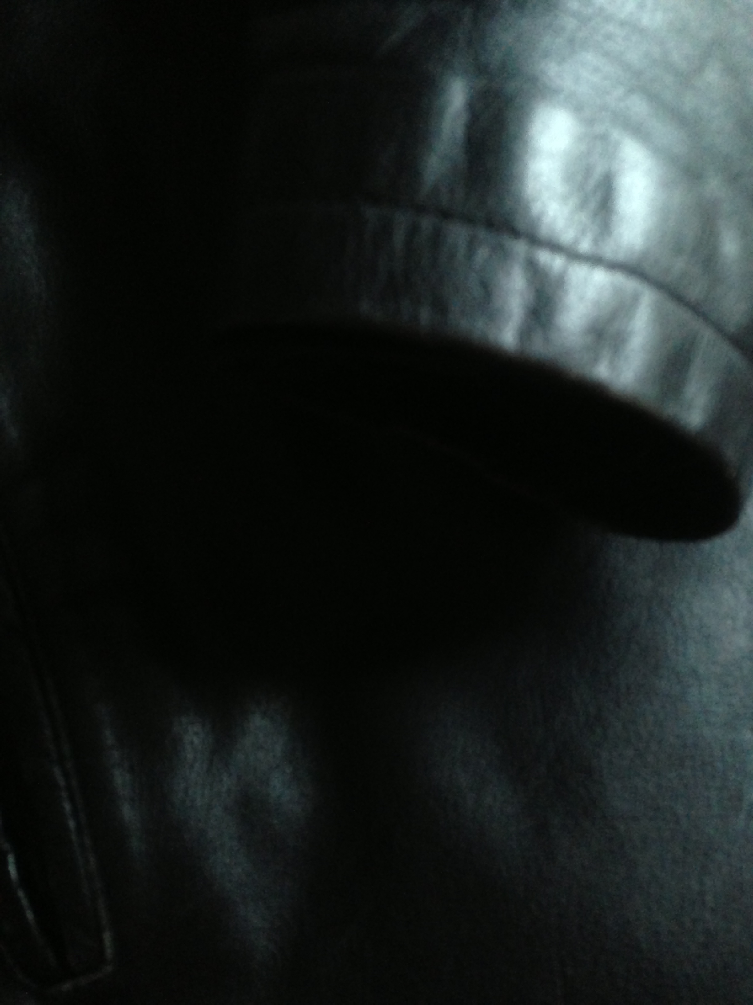 52e11c9b852f5-IMG_0250.jpg