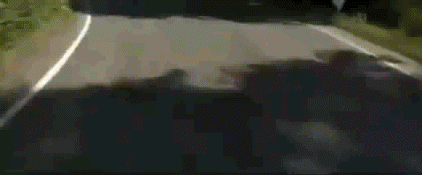 558571dde7164-20-7-2011_18-09-06.gif