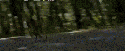 558571f093dab-20-7-2011_18-12-28.gif