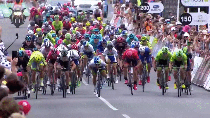 569e791a6db2f-ewan1.gif