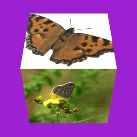 59a9b6fd41b4c-bloggif_59a9b37cf31c5-paar