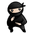 59c7dfa52d941-ninja-setup.png