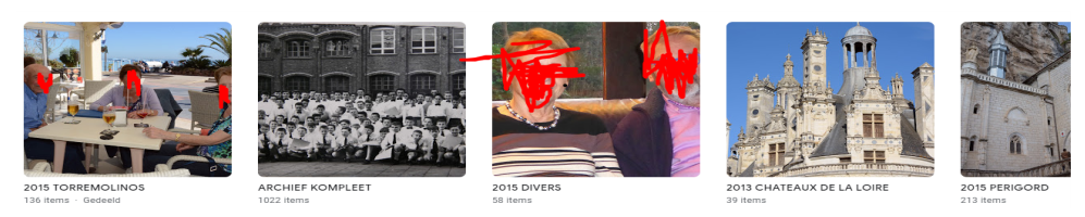 5c1568198e972-vaes_Google_Foto_s_albums.