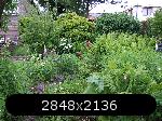 5c841bed94720-2007_05280072.thumb.jpg