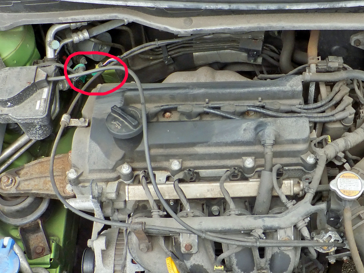 5cc30aa66d6b1-DSCF0800b.jpg