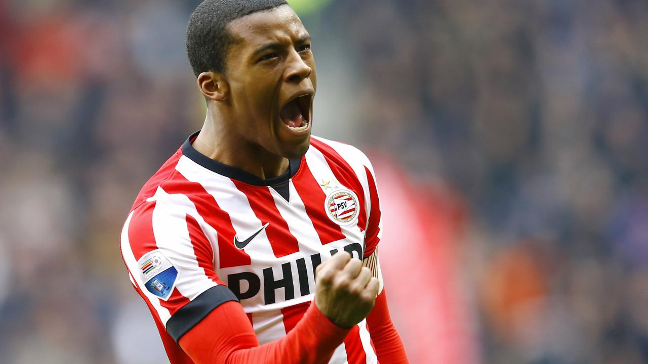 5cd1e7ac892e0-wijnaldum-rondt-transfer-van-psv-newcastle-united-af.jpg