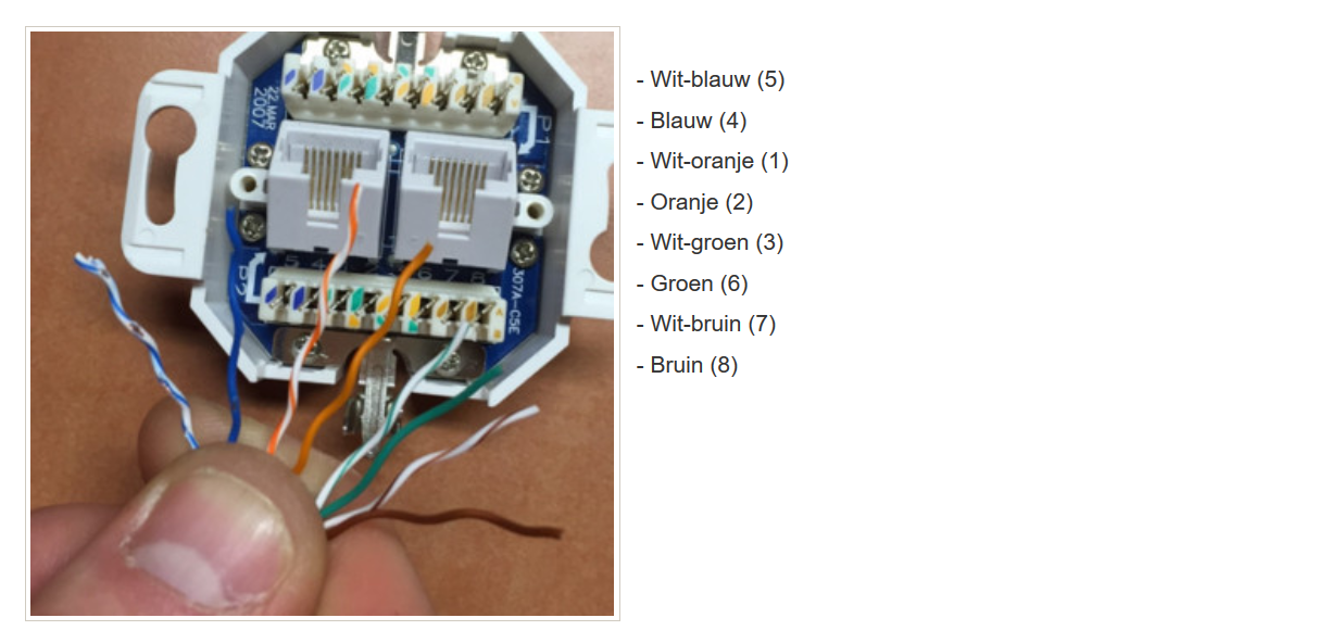 Ideaal kanaal Gezichtsveld UTP kabel maken zonder krimptang - Computerforum PC Web Plus