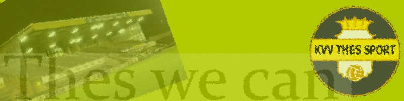 6187a3f99fff9-ThesWeCan.png