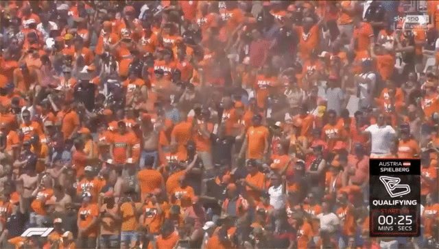 6194246621129-vlaggetjesdag.gif