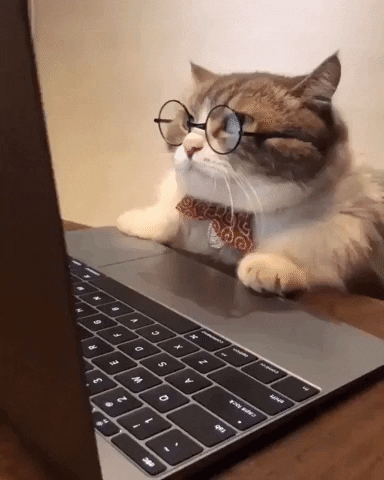 61d066f38a277-KatBrilletje.gif