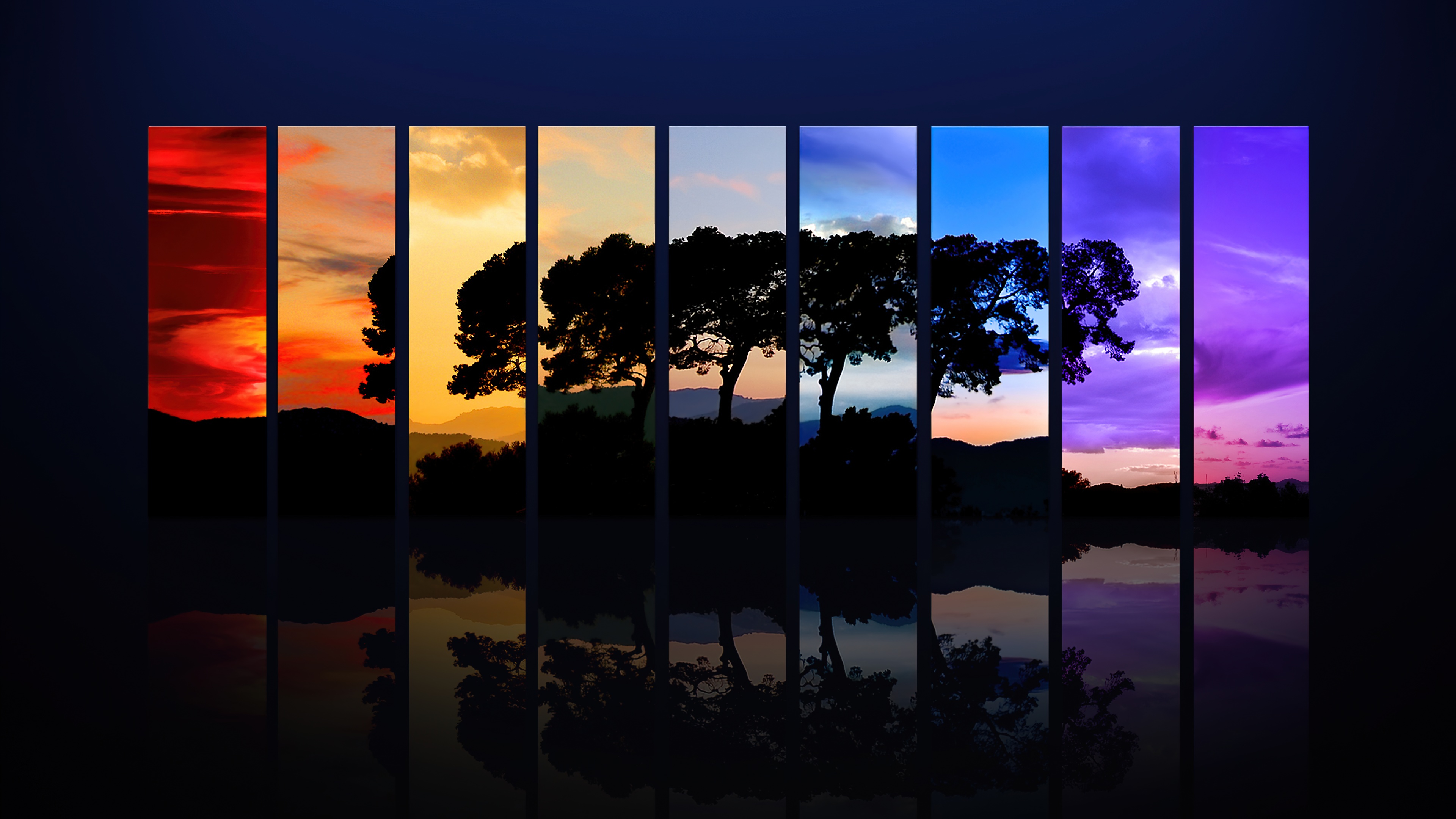 61d875633da18-tree-sunset-daylight-eveni