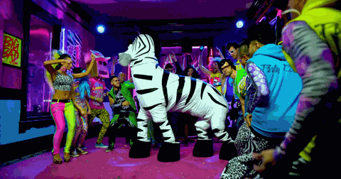 621cdc040d042-Zebra.gif