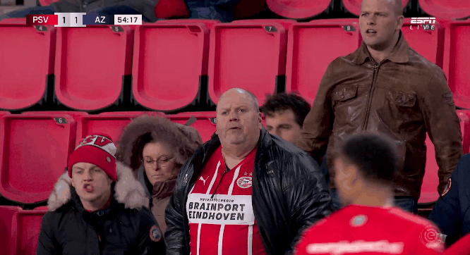 6252d6f620c8c-Bollestront.gif