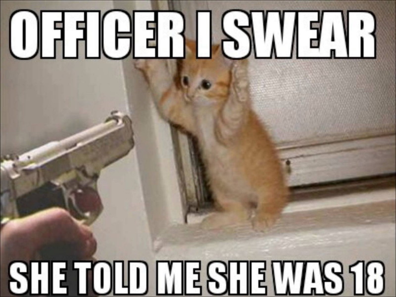637f7210cdcc5-Officer-I-Swear-She-Told-Me-She-Was-18-Funny-Cat-Meme_800x600.jpg
