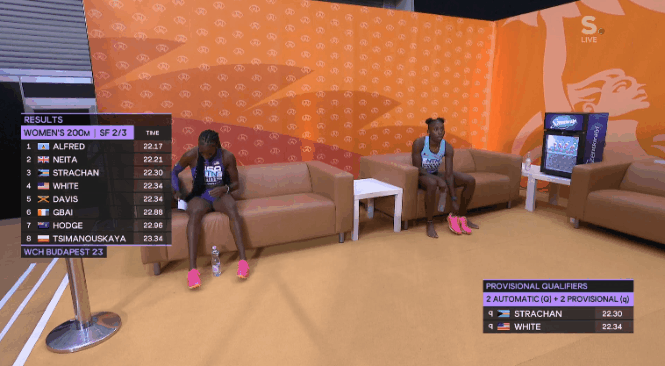 64e79e6b58c54-mascotte2.gif