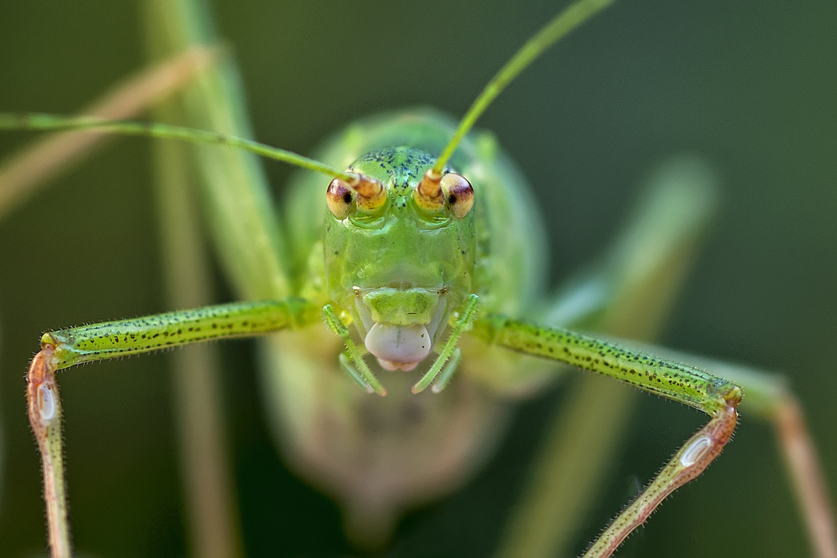 Fotografie