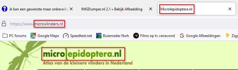 6517fc1394bd9-2023-09-30_12_40_24-Microlepidoptera.nl_%E2%80%93_Mozilla_Firefox.png