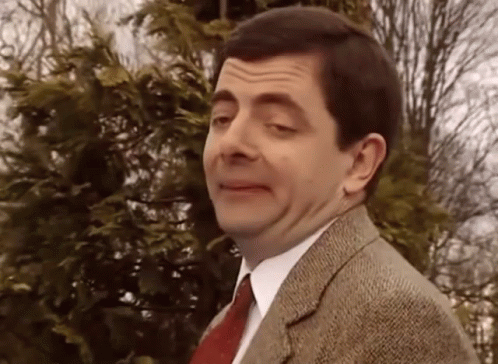 65635a6c6925b-620aca78c46ff-mr-bean-too-easy.gif 