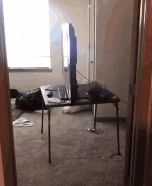 6599477b0c59b-stukjetv.gif 